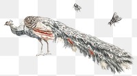 Monotone peacock png bird sticker vintage illustration