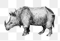 Vintage Indian rhinoceros illustration