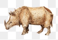 Vintage Indian rhinoceros illustration