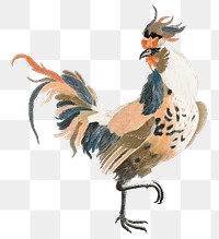 Hand drawn cock png chicken sticker vintage illustration