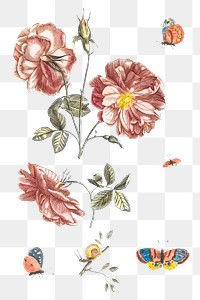 Hand drawn flower png sticker vintage illustration set