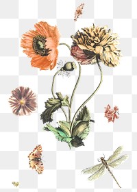 Hand drawn flower png sticker vintage illustration set