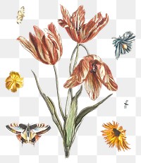Vintage flower png sticker illustration set