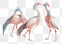Vintage crane png bird sticker hand drawn illustration