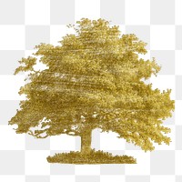 Vintage gold tree transparent png