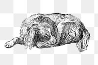 Hand drawn lying dog illustration