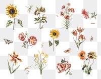 Hand drawn flower png sticker vintage illustration set