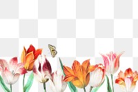 Vintage tulips border decoration and copy space
