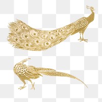 Vintage peacock and cock png art print, remix from artworks by Theo van Hoytema