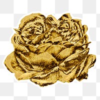 Gold rose flower design element