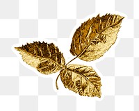 Gold rose leaves sticker with white border design element