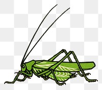 Vintage green grasshopper png sticker 