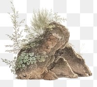 Hand drawn watercolor overgrown rocks design element