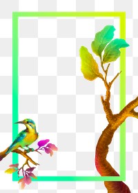 Colorful bird and branch frame transparent png