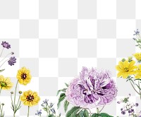 Floral border png blooming flowers illustration drawing