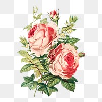 Vintage flower bouquet transparent png