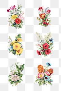 Vintage flowers bouquet collection transparent png