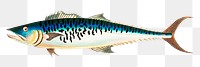 Png sticker mottled mackerel fish illustration 