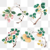 Vintage botanical element png art print set, remixed from artworks by Hu Zhengyan