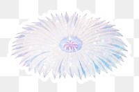 Holographic elephant&#39;s tooth cactus flower sticker with white border