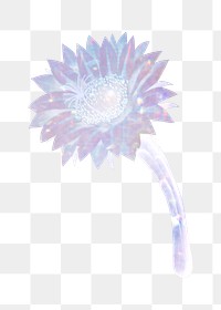 Holographic lady of the night cactus flower design element