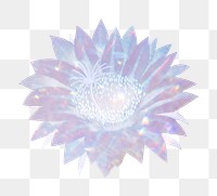 Holographic lady of the night cactus flower design element