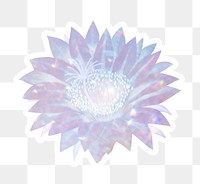 Holographic lady of the night cactus flower sticker with white border