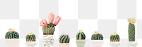 Vintage green cactus with flower background banner
