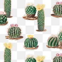 Vintage green cactus with flower pattern background