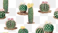 Vintage green cactus with flower pattern background