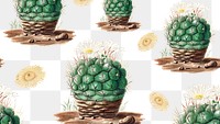 Vintage green cactus with flower pattern background