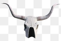 Png bull skull with horns, remixed from artworks by John Margolies