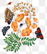 Butterfly, flower png sticker, painting illustration, remixed from artworks by James Bolton