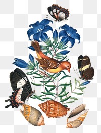 Bird, butterfly png sticker, botanical flower, watercolor painting, remixed from artworks by James Bolton