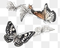 Monarch butterfly png sticker, vintage illustration, remix from the artwork of Morimoto Toko