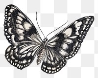 Monarch butterfly png sticker, vintage illustration, remix from the artwork of Morimoto Toko