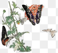 Monarch butterfly png sticker, vintage illustration, remix from the artwork of Morimoto Toko