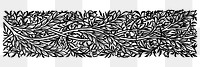 Vintage black and white foliage and flower ornament design element illustration