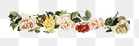 Blooming colorful flowers transparent png