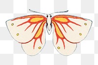 Vintage moth png clipart, watercolor design, transparent background