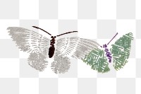 Watercolor butterfly png design element, vintage hand drawn clipart, transparent background