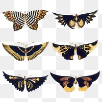 Colorful butterfly png sticker, Japanese woodblock print, vintage illustration set