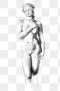 Nude woman posing vintage illustration design element