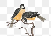 Yellow and black birds on branch design element