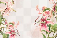Vintage pink lilies png background, remix from artworks by L. Prang &amp; Co.