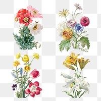 Vintage flower botanical illustration png set