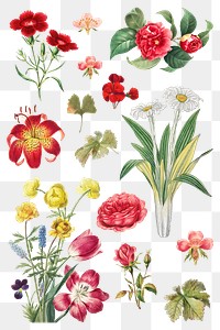 Vintage flower sticker png illustration set