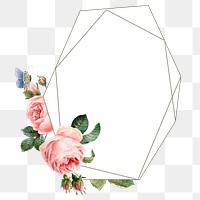 Pink cabbage rose frame design element