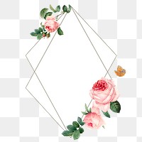 Pink cabbage rose frame design element