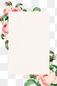 Pink cabbage rose rectangled frame design element